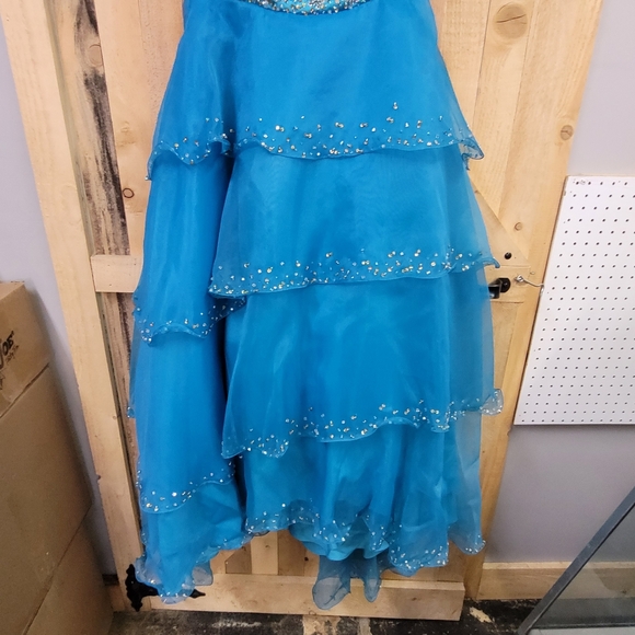 Tiffany Design Gown - Picture 7 of 8